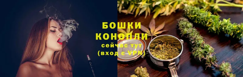 Бошки марихуана конопля  мориарти официальный сайт  Заполярный 